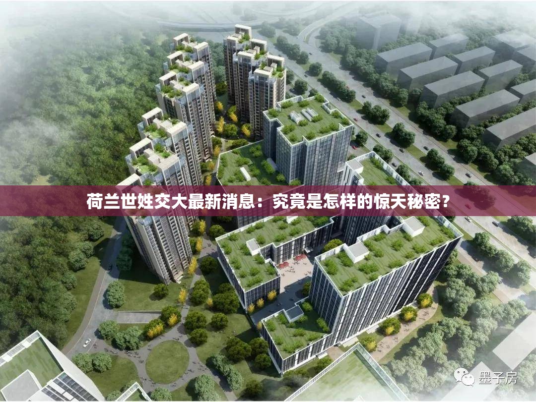 荷蘭世姓交大最新消息：究竟是怎樣的驚天秘密？
