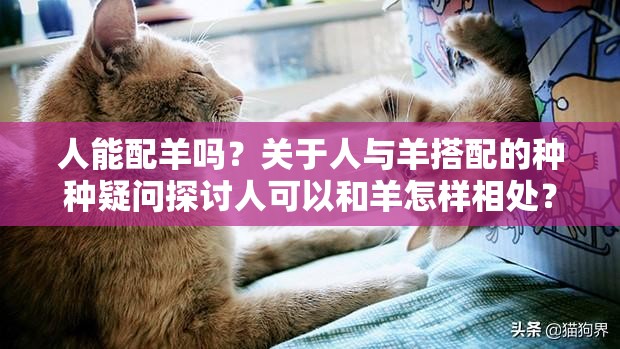 人能配羊嗎？關于人與羊搭配的種種疑問探討人可以和羊怎樣相處？關于人與羊關系的思考人能否與羊進行某種特殊的結合？引發(fā)好奇的相關探討