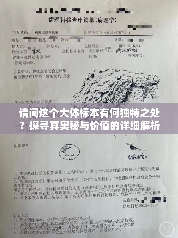 請問這個大體標本有何獨特之處？探尋其奧秘與價值的詳細解析