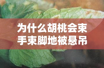 為什么胡桃會束手束腳地被懸吊起來呢？她是遭遇了什么危險嗎？這張圖片讓人不禁浮想聯(lián)翩