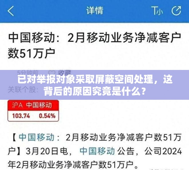 已對舉報對象采取屏蔽空間處理，這背后的原因究竟是什么？