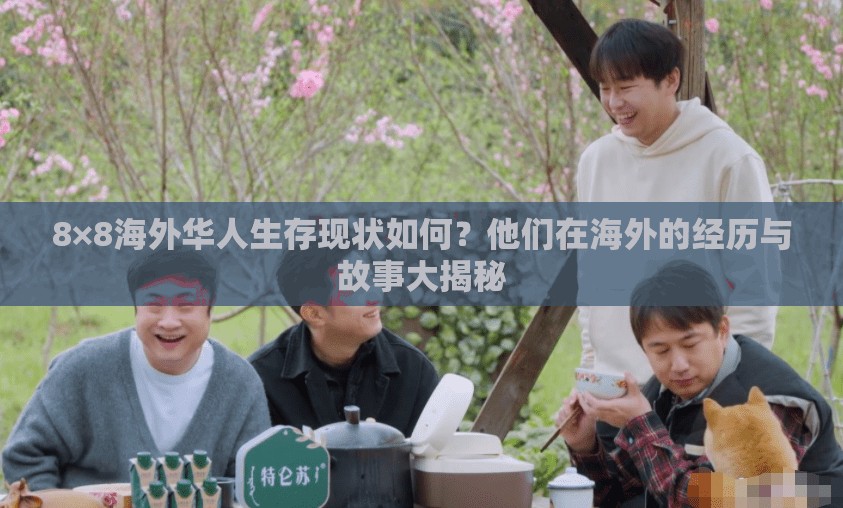 8×8海外華人生存現(xiàn)狀如何？他們在海外的經(jīng)歷與故事大揭秘