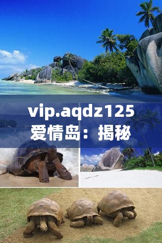 vip.aqdz125愛情島：揭秘浪漫島嶼的獨特魅力與最佳旅行攻略