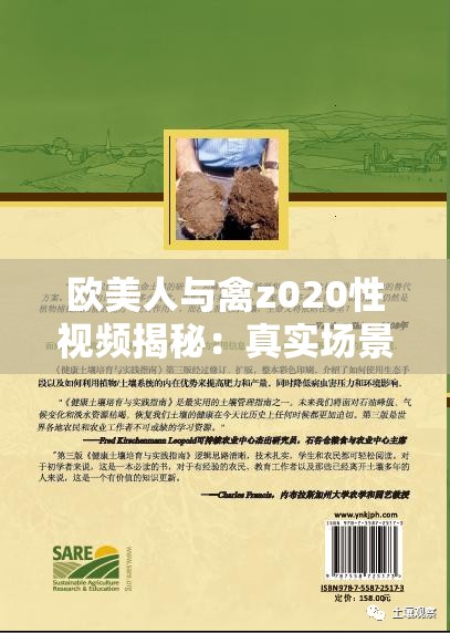 歐美人與禽z020性視頻揭秘：真實場景與道德爭議深度解析
