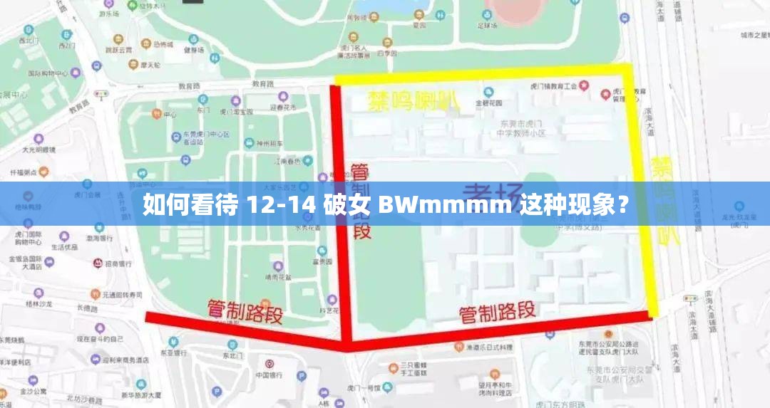 如何看待 12-14 破女 BWmmmm 這種現(xiàn)象？
