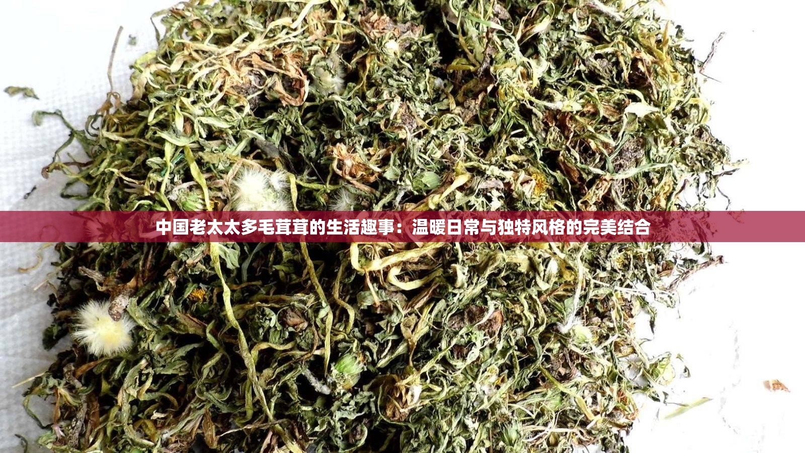 中國(guó)老太太多毛茸茸的生活趣事：溫暖日常與獨(dú)特風(fēng)格的完美結(jié)合