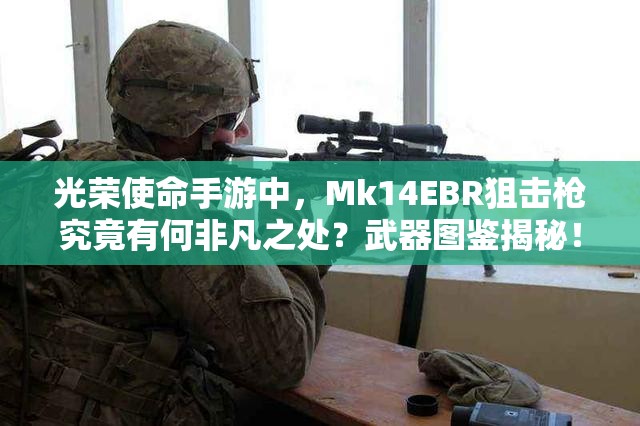光榮使命手游中，Mk14EBR狙擊槍究竟有何非凡之處？武器圖鑒揭秘！