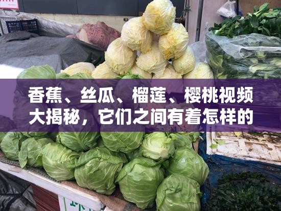 香蕉、絲瓜、榴蓮、櫻桃視頻大揭秘，它們之間有著怎樣的獨特聯(lián)系？