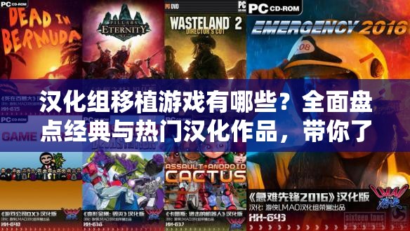 漢化組移植游戲有哪些？全面盤點(diǎn)經(jīng)典與熱門漢化作品，帶你了解漢化組背后的故事與游戲移植的奇妙旅程