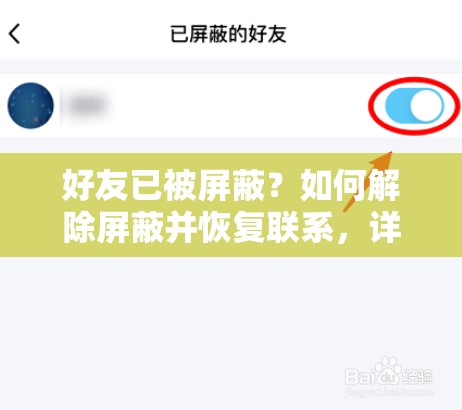 好友已被屏蔽？如何解除屏蔽并恢復(fù)聯(lián)系，詳細(xì)步驟與注意事項(xiàng)全解析