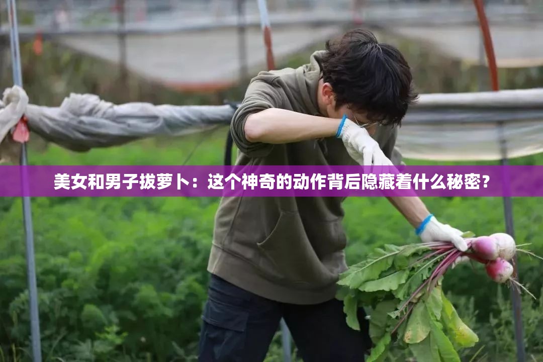 美女和男子拔蘿卜：這個神奇的動作背后隱藏著什么秘密？