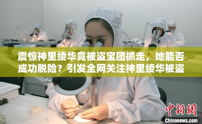 震驚神里綾華竟被盜寶團(tuán)抓走，她能否成功脫險(xiǎn)？引發(fā)全網(wǎng)關(guān)注神里綾華被盜寶團(tuán)抓去，這背后究竟隱藏著怎樣的陰謀與危機(jī)？神里綾華被盜寶團(tuán)抓走，廣大玩家心急如焚，后續(xù)情況究竟如何？