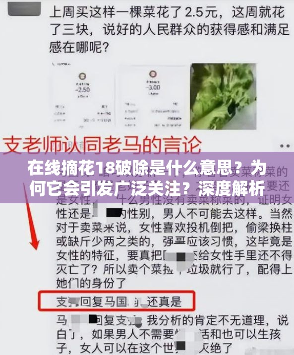在線摘花18破除是什么意思？為何它會引發(fā)廣泛關(guān)注？深度解析其內(nèi)涵