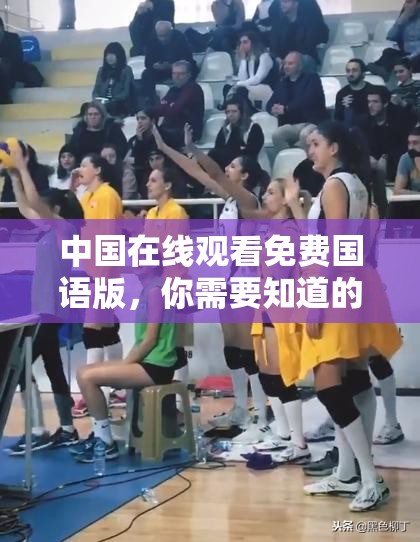 中國在線觀看免費國語版，你需要知道的一切