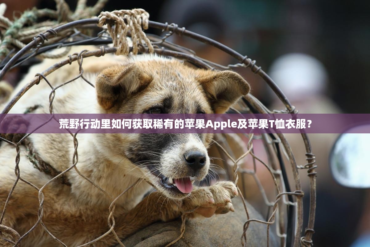荒野行動里如何獲取稀有的蘋果Apple及蘋果T恤衣服？