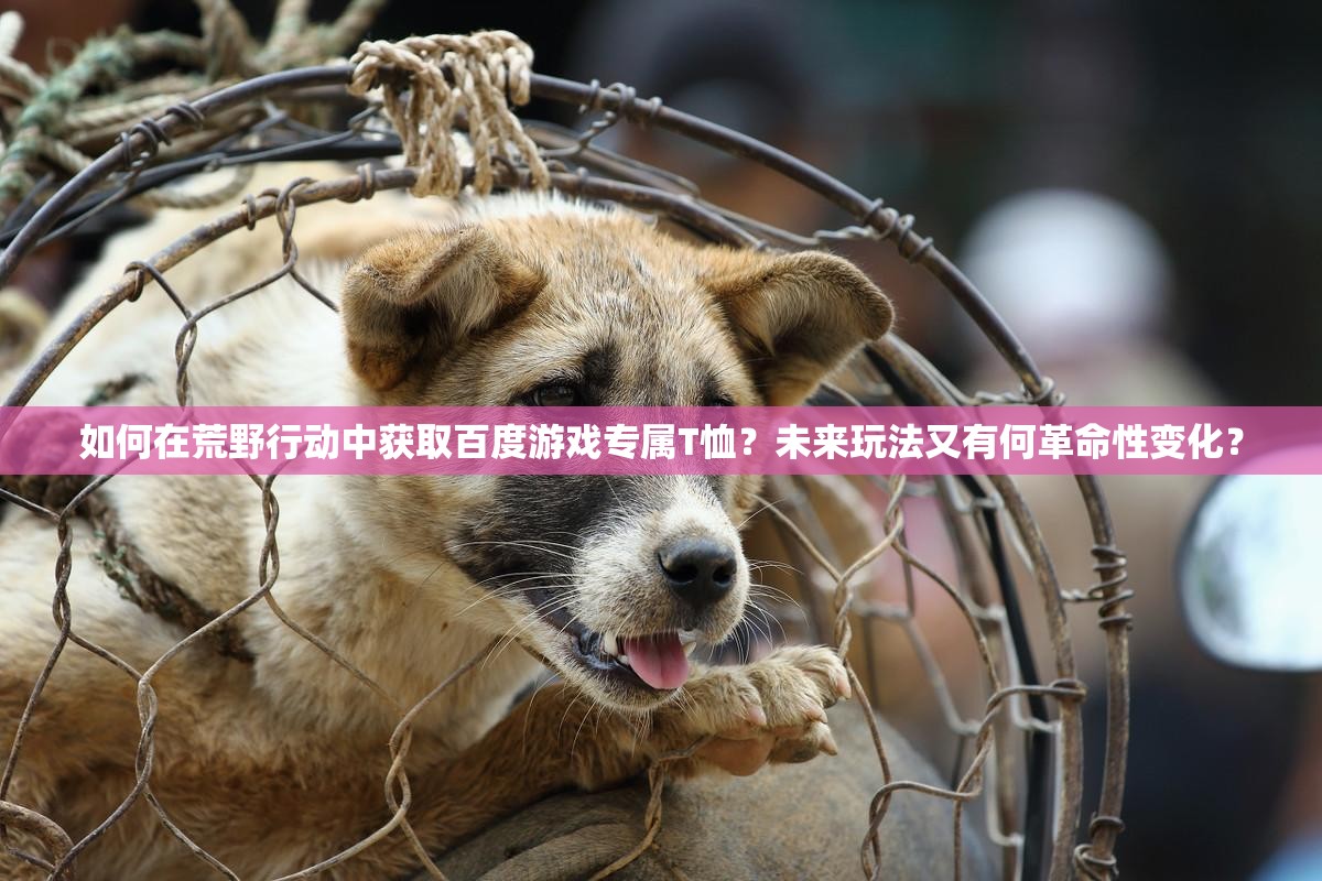 如何在荒野行動中獲取百度游戲?qū)賂恤？未來玩法又有何革命性變化？