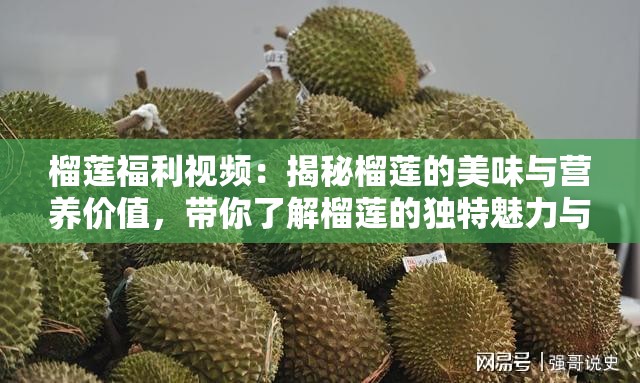 榴蓮福利視頻：揭秘榴蓮的美味與營養(yǎng)價值，帶你了解榴蓮的獨特魅力與健康益處