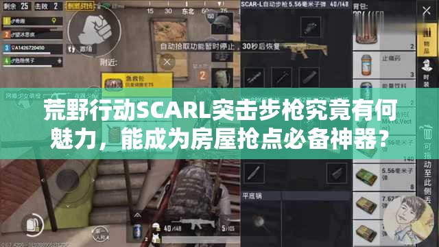 荒野行動SCARL突擊步槍究竟有何魅力，能成為房屋搶點必備神器？