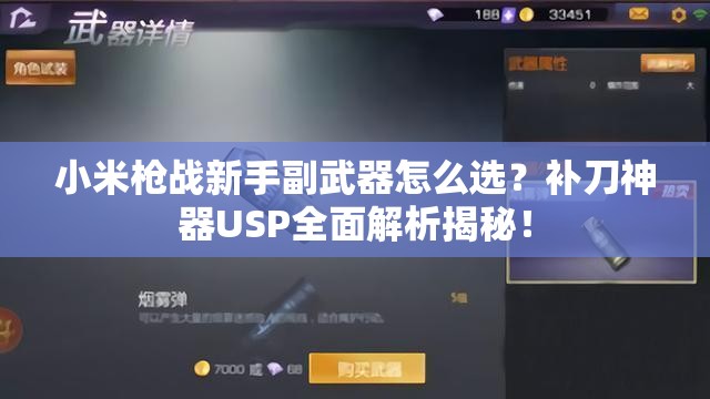 小米槍戰(zhàn)新手副武器怎么選？補(bǔ)刀神器USP全面解析揭秘！