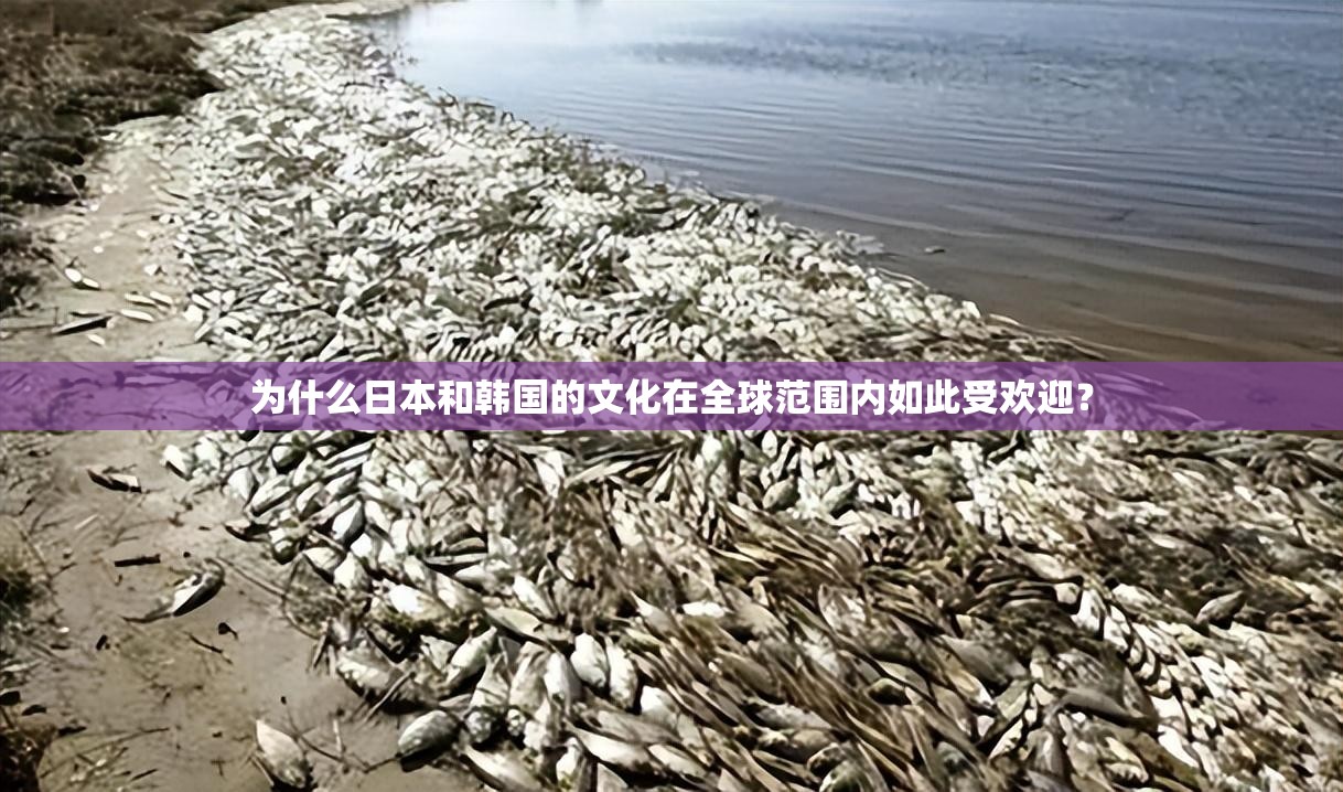 為什么日本和韓國的文化在全球范圍內(nèi)如此受歡迎？