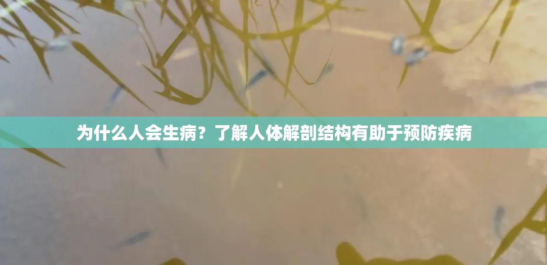 為什么人會(huì)生??？了解人體解剖結(jié)構(gòu)有助于預(yù)防疾病