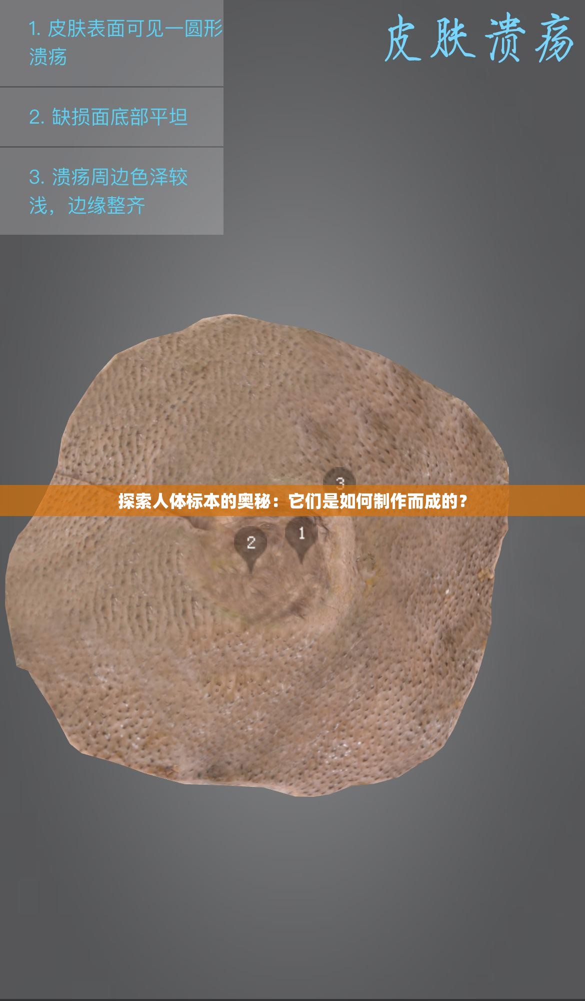 探索人體標本的奧秘：它們是如何制作而成的？