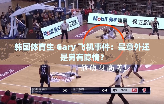 韓國體育生 Gary 飛機(jī)事件：是意外還是另有隱情？