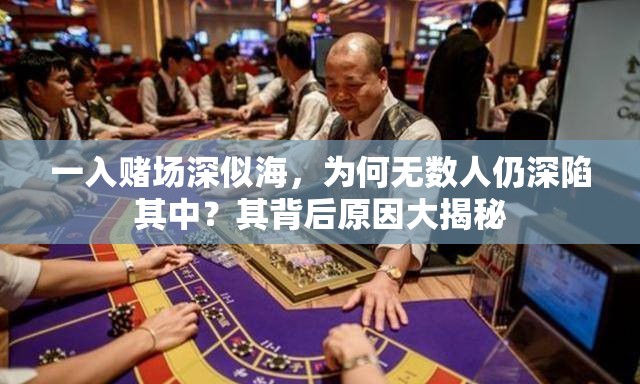 一入賭場(chǎng)深似海，為何無(wú)數(shù)人仍深陷其中？其背后原因大揭秘