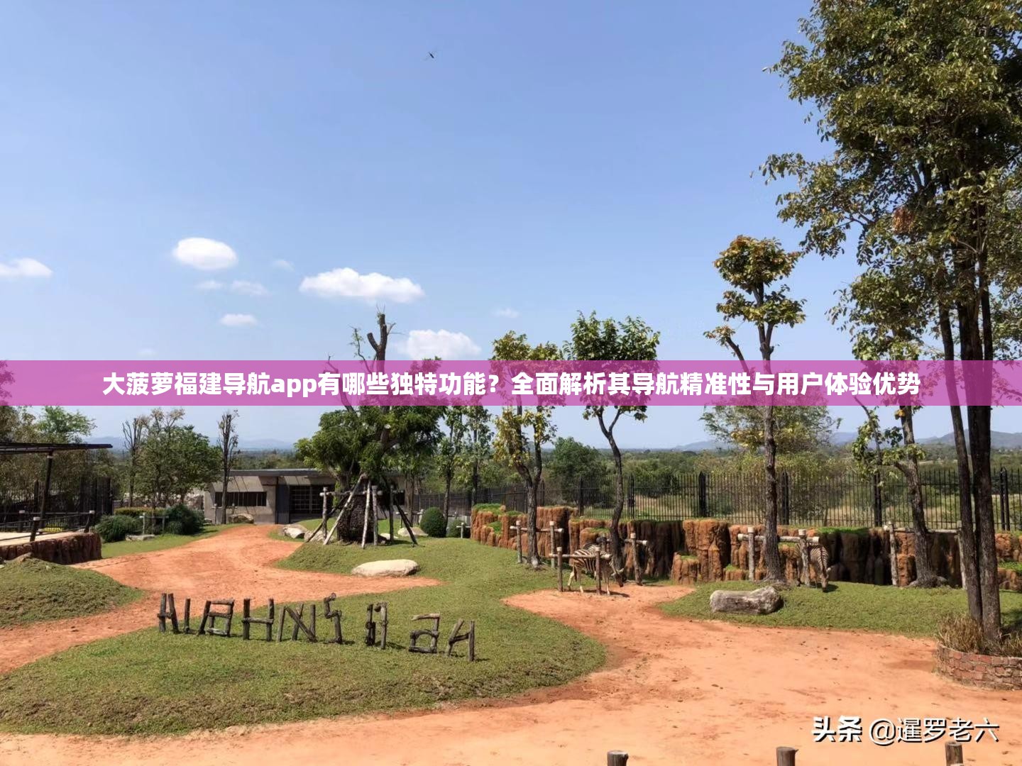 大菠蘿福建導(dǎo)航app有哪些獨(dú)特功能？全面解析其導(dǎo)航精準(zhǔn)性與用戶(hù)體驗(yàn)優(yōu)勢(shì)