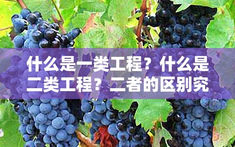 什么是一類工程？什么是二類工程？二者的區(qū)別究竟在哪里？
