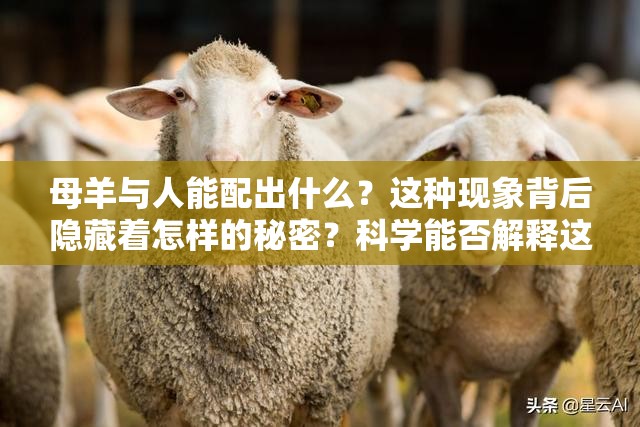 母羊與人能配出什么？這種現(xiàn)象背后隱藏著怎樣的秘密？科學能否解釋這種離奇組合？