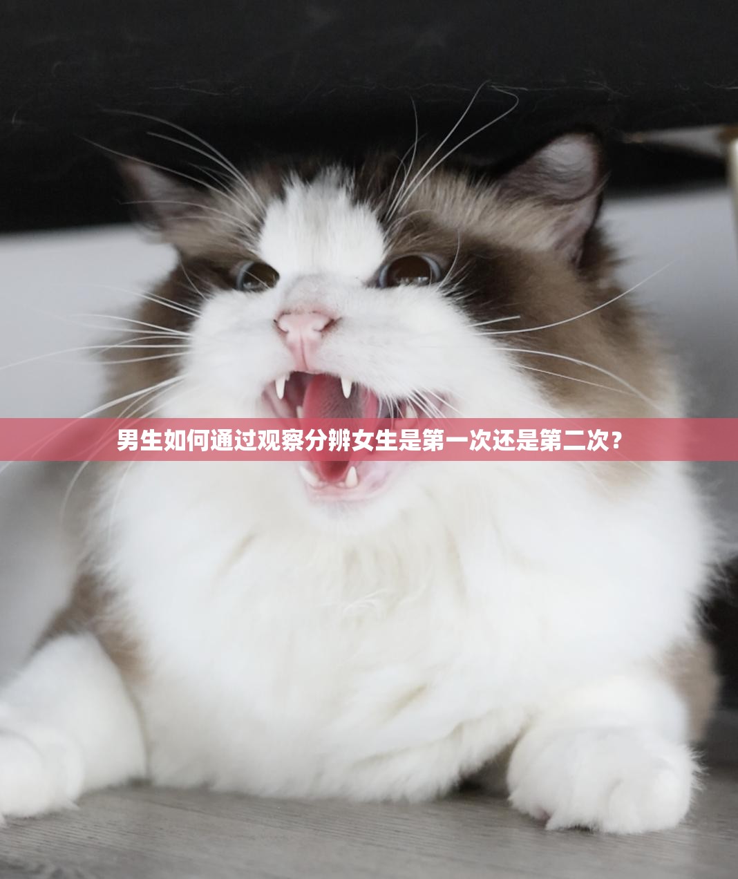 男生如何通過觀察分辨女生是第一次還是第二次？