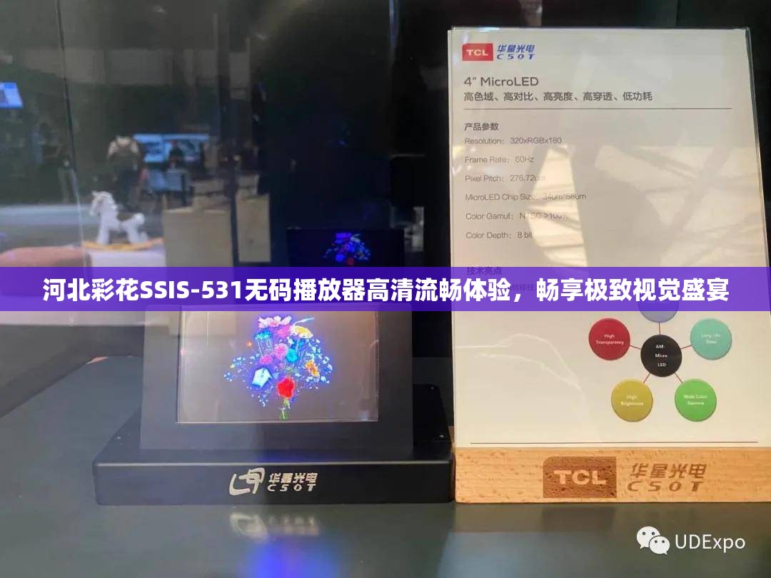 河北彩花SSIS-531無碼播放器高清流暢體驗，暢享極致視覺盛宴