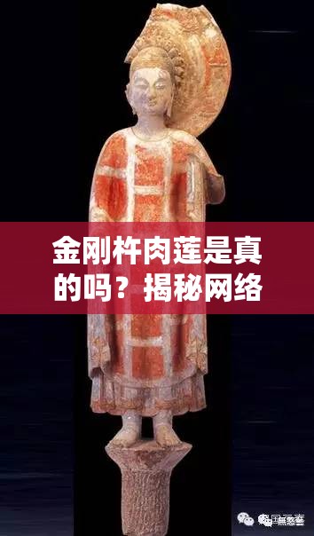 金剛杵肉蓮是真的嗎？揭秘網(wǎng)絡(luò)熱議的金剛杵肉蓮背后的真相與傳說(shuō)