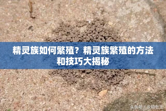 精靈族如何繁殖？精靈族繁殖的方法和技巧大揭秘