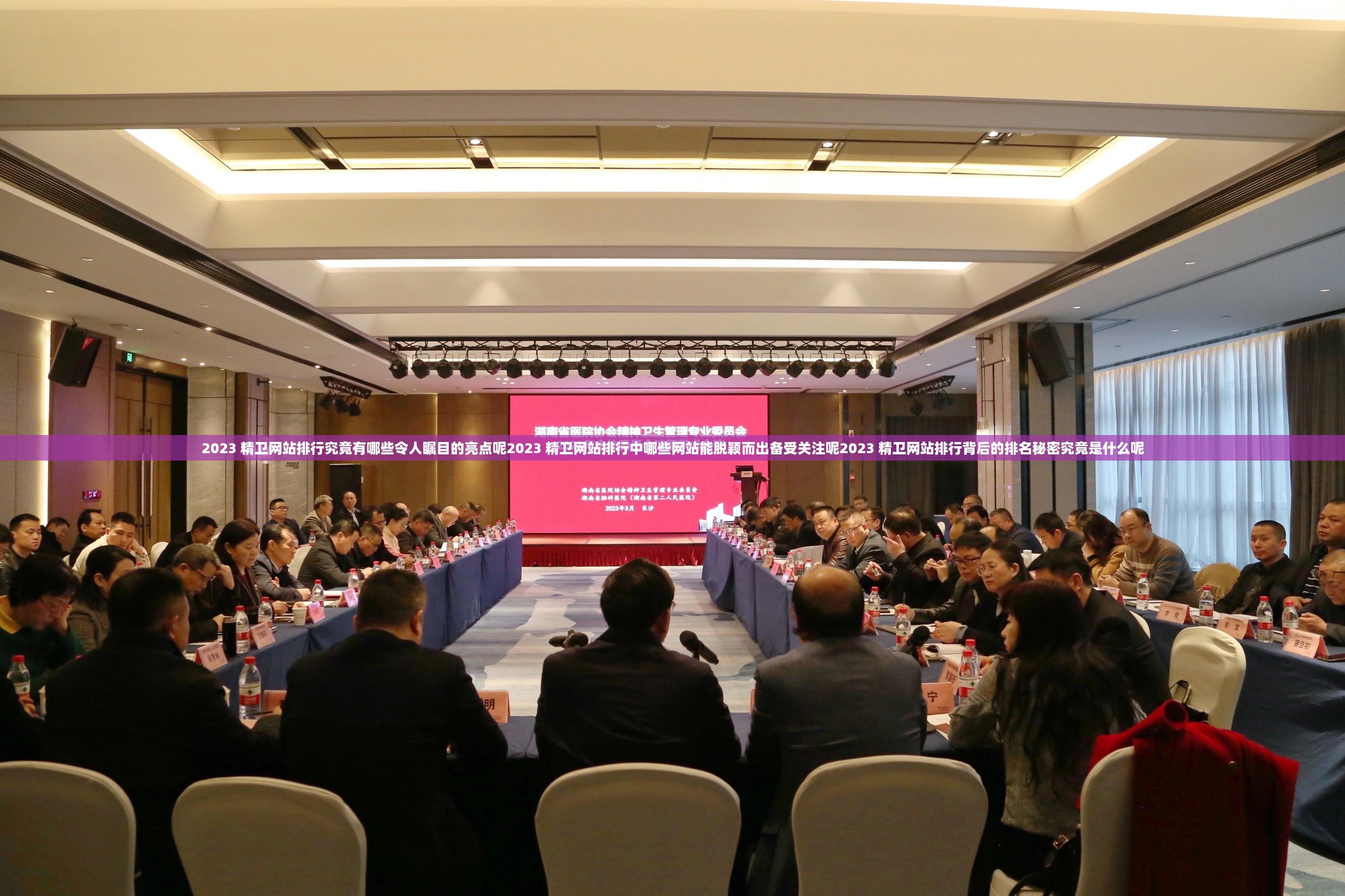 2023 精衛(wèi)網(wǎng)站排行究竟有哪些令人矚目的亮點(diǎn)呢2023 精衛(wèi)網(wǎng)站排行中哪些網(wǎng)站能脫穎而出備受關(guān)注呢2023 精衛(wèi)網(wǎng)站排行背后的排名秘密究竟是什么呢