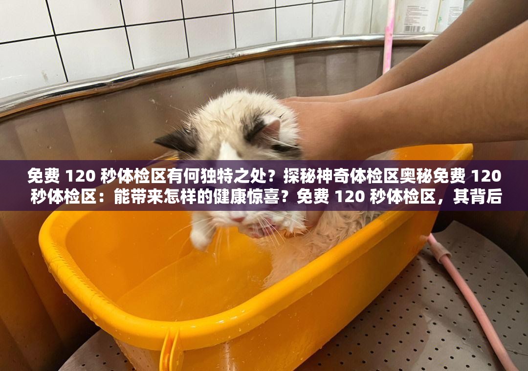 免費 120 秒體檢區(qū)有何獨特之處？探秘神奇體檢區(qū)奧秘免費 120 秒體檢區(qū)：能帶來怎樣的健康驚喜？免費 120 秒體檢區(qū)，其背后隱藏著怎樣的健康密碼？