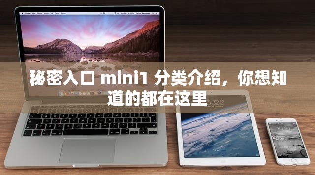 秘密入口 mini1 分類(lèi)介紹，你想知道的都在這里