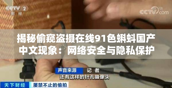 揭秘偷窺盜攝在線(xiàn)91色蝌蚪國(guó)產(chǎn)中文現(xiàn)象：網(wǎng)絡(luò)安全與隱私保護(hù)的緊迫議題