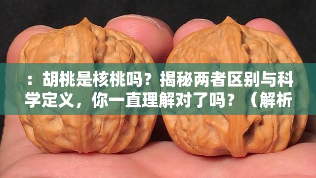 ：胡桃是核桃嗎？揭秘兩者區(qū)別與科學(xué)定義，你一直理解對(duì)了嗎？（解析：完整保留關(guān)鍵詞胡桃是核桃嗎，通過疑問句式激發(fā)點(diǎn)擊欲，加入揭秘科學(xué)定義等詞提高權(quán)威性，末句你一直理解對(duì)了嗎制造認(rèn)知沖突，符合百度用戶主動(dòng)求證的心理需求整體符合口語化提問邏輯，同時(shí)自然融入植物學(xué)領(lǐng)域關(guān)鍵詞提升搜索權(quán)重）