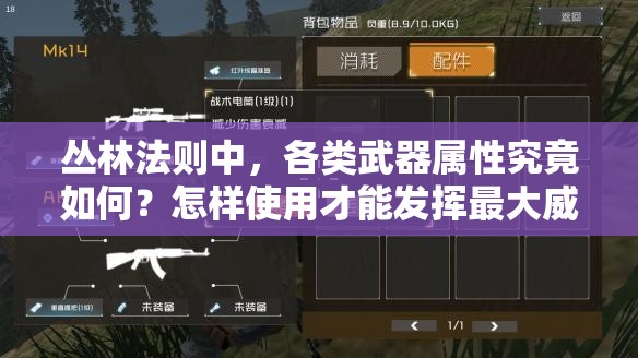 叢林法則中，各類武器屬性究竟如何？怎樣使用才能發(fā)揮最大威力？