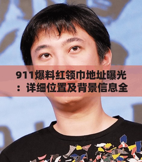 911爆料紅領(lǐng)巾地址曝光：詳細(xì)位置及背景信息全解析，引發(fā)網(wǎng)友熱議