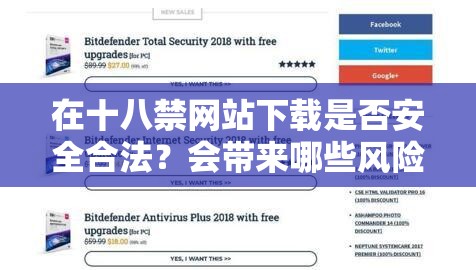 在十八禁網站下載是否安全合法？會帶來哪些風險？