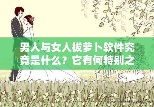 男人與女人拔蘿卜軟件究竟是什么？它有何特別之處和功能？快來(lái)一探究竟