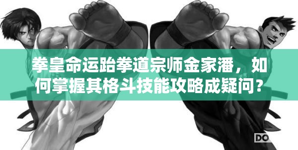 拳皇命運(yùn)跆拳道宗師金家潘，如何掌握其格斗技能攻略成疑問？