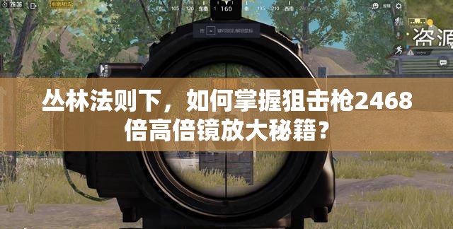 叢林法則下，如何掌握狙擊槍2468倍高倍鏡放大秘籍？