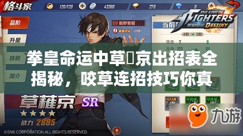 拳皇命運(yùn)中草薙京出招表全揭秘，咬草連招技巧你真的掌握了嗎？