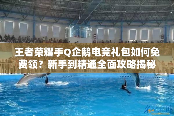 王者榮耀手Q企鵝電競(jìng)禮包如何免費(fèi)領(lǐng)？新手到精通全面攻略揭秘！