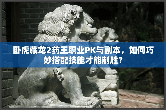 臥虎藏龍2藥王職業(yè)PK與副本，如何巧妙搭配技能才能制勝？