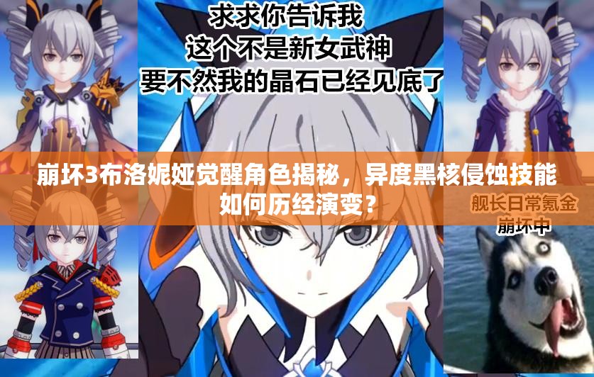 崩壞3布洛妮婭覺醒角色揭秘，異度黑核侵蝕技能如何歷經(jīng)演變？